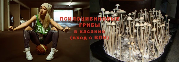 ECSTASY Арсеньев
