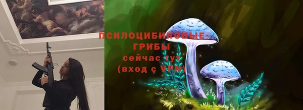 соль ск Армянск