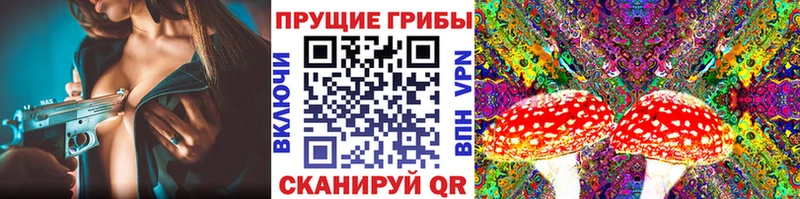 Галлюциногенные грибы Cubensis  даркнет состав  Сарапул 